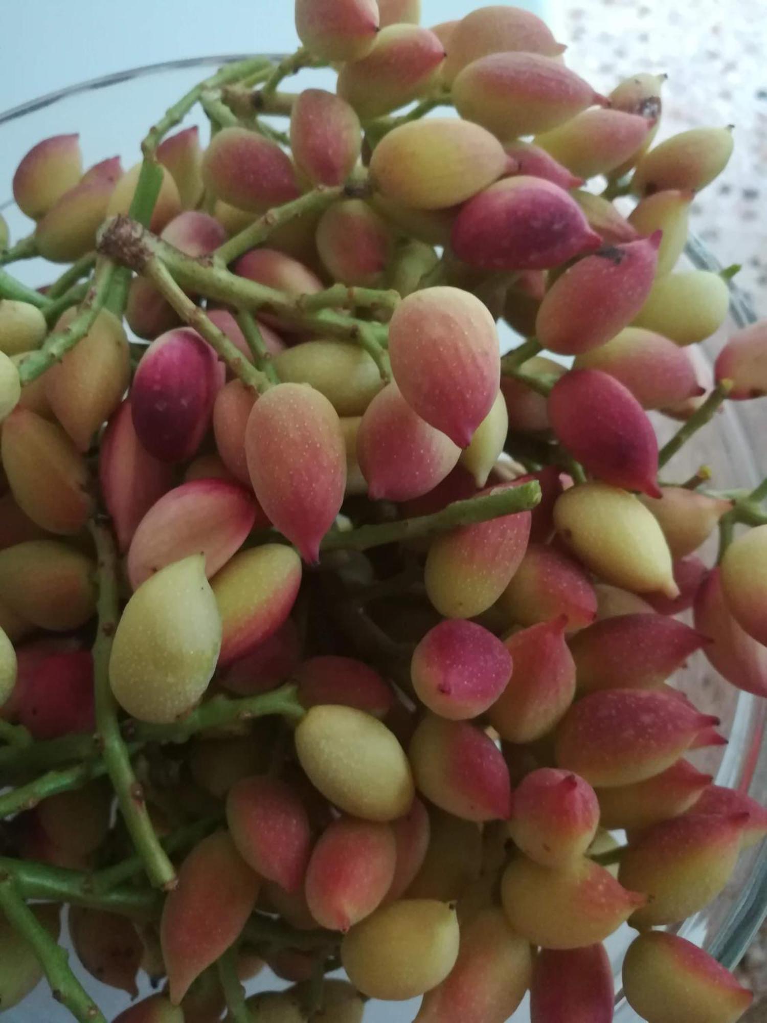 Agia Marina  Eri Studios المظهر الخارجي الصورة